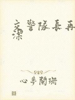 交警队长再遇白洁