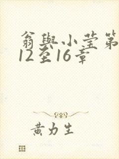 翁与小莹第十部12至16章