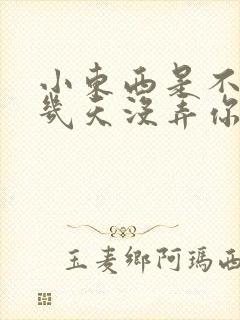 小东西是不是好几天没弄你了作文