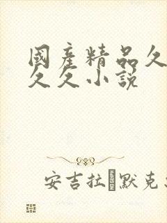 国产精品久久久久久小说