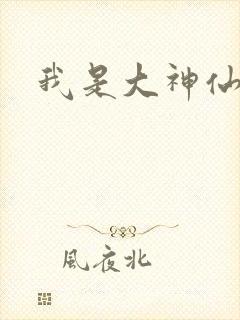 我是大神仙小说