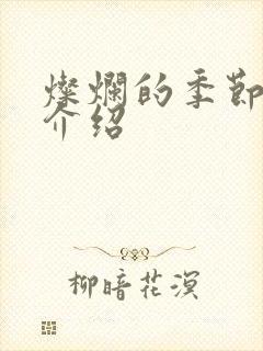 灿烂的季节剧情介绍