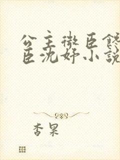 公主微臣馋了微臣沈妤小说