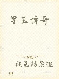 星王传奇