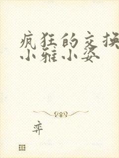 疯狂的交换小静小雅小姿