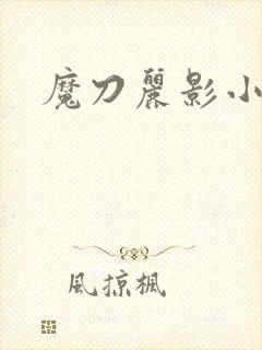 魔刀丽影小说