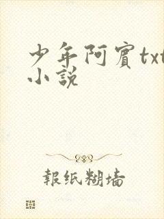少年阿宾txt小说