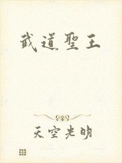 武道圣王