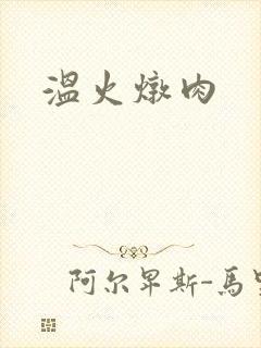 温火炖肉