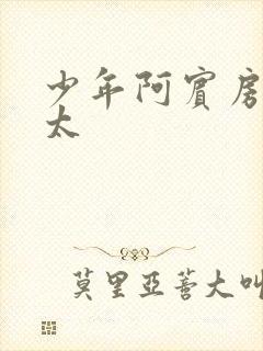 少年阿宾房东太太