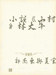 小说《山村情事》林大牛