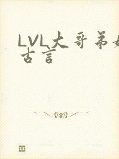 LVL大哥弟媳古言