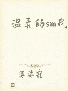 温柔的sm我