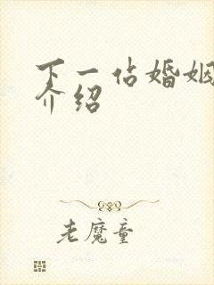 下一站婚姻剧情介绍