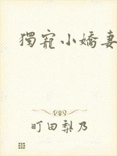 独宠小娇妻