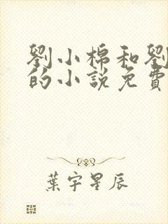 刘小棉和刘易文的小说免费阅读