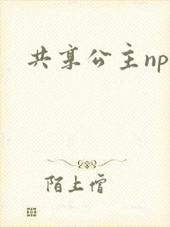 共享公主npc