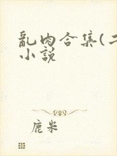 乱肉合集(二)小说