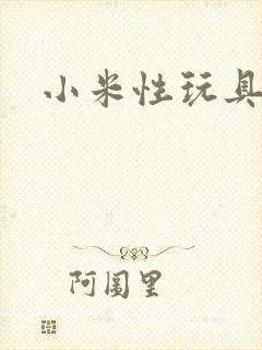 小米性玩具日记