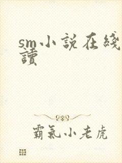 sm小说在线阅读
