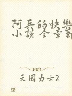 阿兵的快乐生活小说 全章节阅读免费