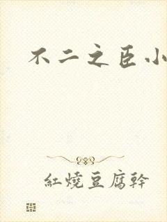不二之臣小说
