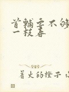 首辅要不够po一枝春