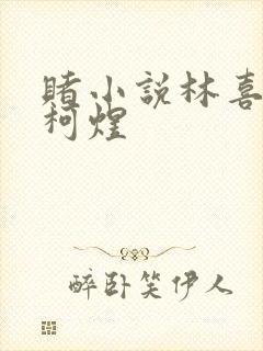 赌小说林喜朝和柯煜