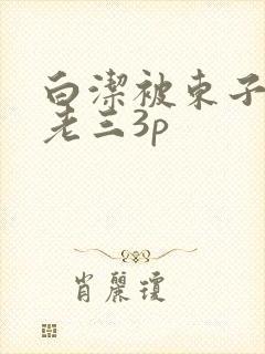 白洁被东子老二老三3p