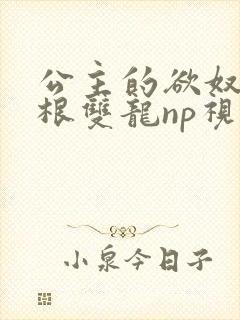 公主的欲奴h四根双龙np视频