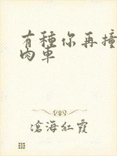 有种你再撞一下肉车