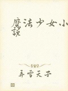 魔法少女小圆小说