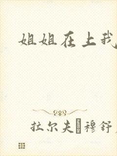 姐姐在上我在下