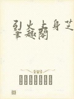 引火上身芝麻糖笔趣阁