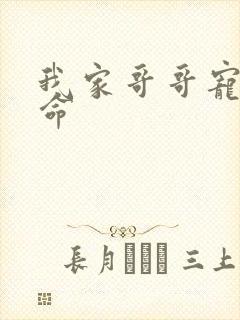 我家哥哥宠妹如命