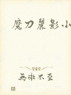 魔刀丽影小说