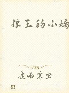 狼王的小娇妻