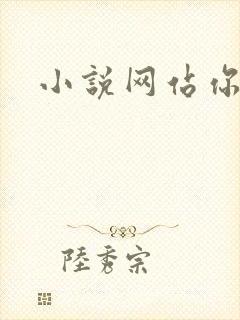 小说网站你懂的