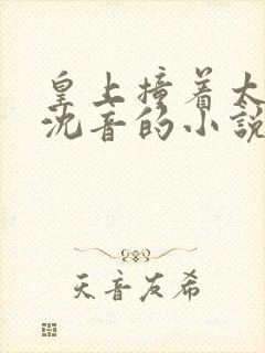 皇上撞着太子妃沈音的小说叫什么