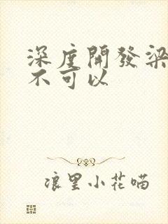 深度开发梁医生不可以