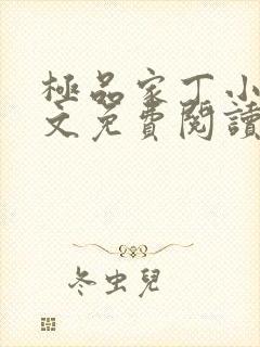 极品家丁小说全文免费阅读