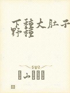 下种大肚子怀孕野种