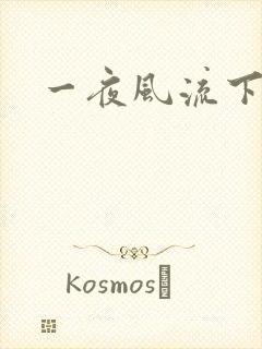 一夜风流下载