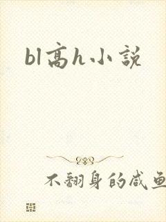 bl高h小说