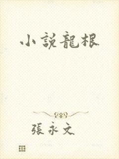 小说龙根