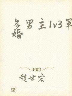 多男主1v3军婚