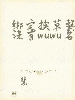 绑定挨草系统后没有wuwu名字