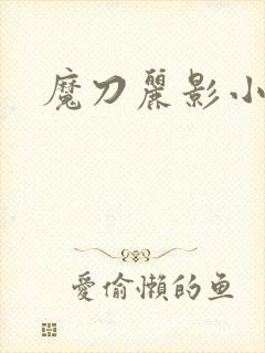 魔刀丽影小说