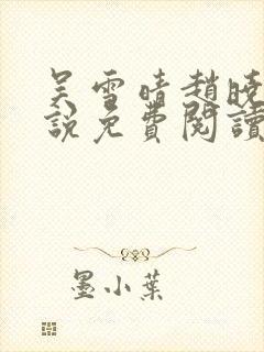 吴雪晴赵晓东小说免费阅读