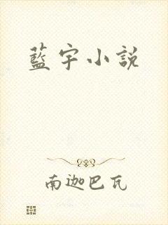 蓝宇小说